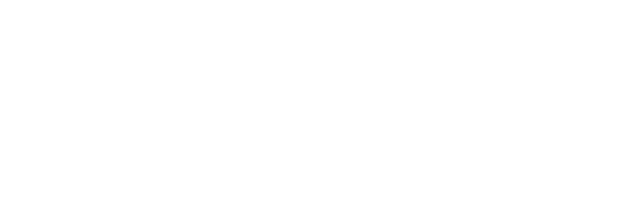 Edge of AI advisory services logo